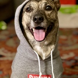 Entry image for Kira