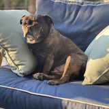 Entry image for Seymour