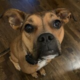 Entry image for Harper