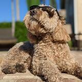 Entry image for Ranger