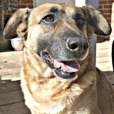 Entry image for Cope