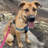 Entry image for Sasha