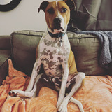 Entry image for Cash