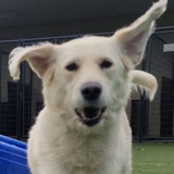 Entry image for Lulu