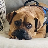 Entry image for Maverick 