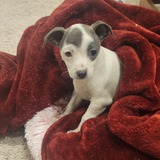 Entry image for Candy