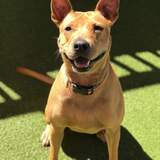 Entry image for Delia