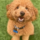 Entry image for Kemba