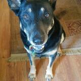 Entry image for Daisy Stoner