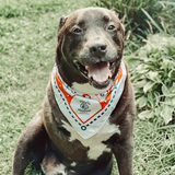 Entry image for Colt