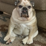 Entry image for Marley 