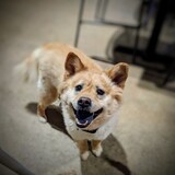 Entry image for Darla