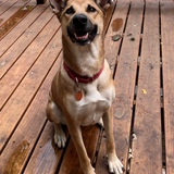 Entry image for Lucy Stoner