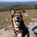 Entry image for Lando