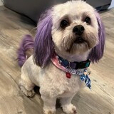 Entry image for Freya