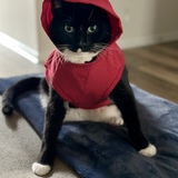 Entry image for Neil