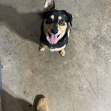 Entry image for Bean (as in coffee bean)