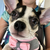 Entry image for Blue