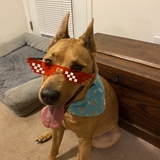 Entry image for Maya