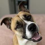 Entry image for Hemingway 