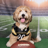 Entry image for Ridge