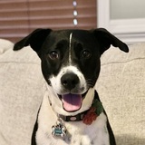 Entry image for Cassie