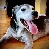 Entry image for Nate