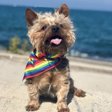 Entry image for Kobe