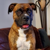 Entry image for Ruger 