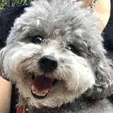 Entry image for Hefner