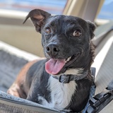 Entry image for Legend