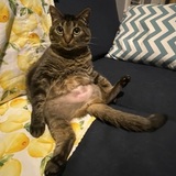 Entry image for Jess