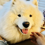 Entry image for Ocean