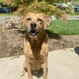 Entry image for Tanner