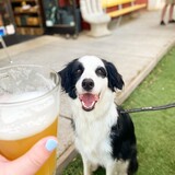 Entry image for Milo