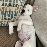 Entry image for Hopper 