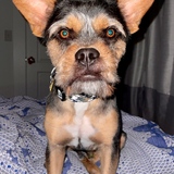 Entry image for Jeff