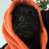 Entry image for Lenny the Chug