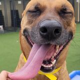 Entry image for Lucky Wilson