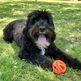 Entry image for Saban