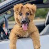 Entry image for Beamer