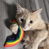 Entry image for Toby