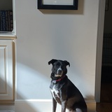 Entry image for Benson