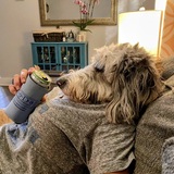 Entry image for Penelope Potter (Penny)