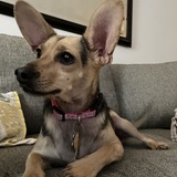 Entry image for Little Bits