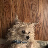 Entry image for Jake