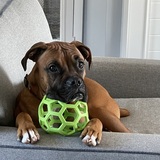 Entry image for Milo