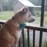 Entry image for Jemma