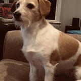 Entry image for Zoey 