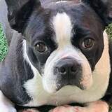 Entry image for FENWAY